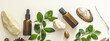 Organic bio herbal cosmetics for skin care. Wellness skin care. Natural cosmetic oil, stones, branches with herbs, cosmetic bottle, moss, seashells, acorn top view, flat lay banner