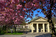 Der Maxbrunnen vor dem Kurgarten von Bad Kissingen zur Kirschblüte