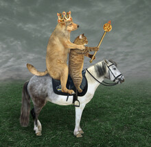 A Beige Dog King In A Crown With A Royal Scepter And A Cat Are Riding A Gray Horse In The Meadow Together.