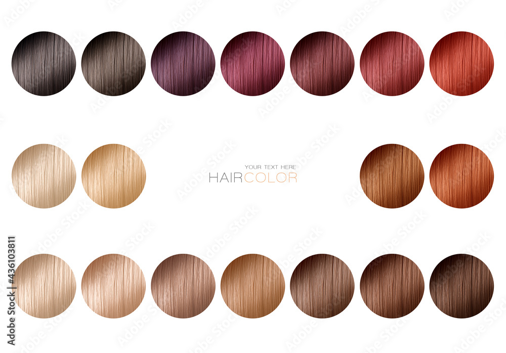 Color chart for hair dye. Tints. Hair color palette for hairdresser with a range of swatches.