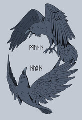 blue colored illustration with Odin's ravens