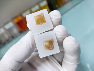 Poster - paraffin embedded tissue blocks of cancer on isolated white background.