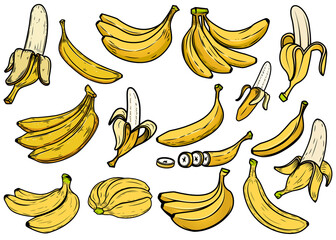 Wall Mural - Big set of illustrations of banana. Design element for poster, card, logo, label, sign. Vector illustration