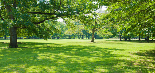 green garden