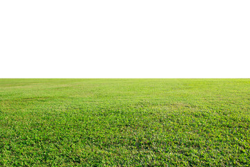 Wall Mural - green grass on the field on white