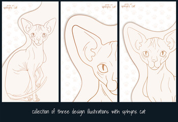 vector illustration with Sphynx cat in cartoon style, light gold and white