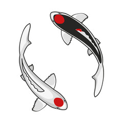 Vector illustration of two japanese black and white koi or carp fish simbolizing ying and yang