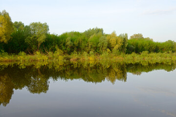 Wall Mural - The river bank with the reflection of the forest in the water in the early morning