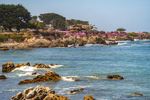 View Of The Pacific Ocean And The Blooming Shore, Lovers Point Park, Monterey