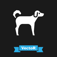 Poster - White Dog icon isolated on black background. Vector