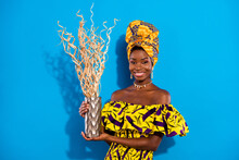 Photo Of Young Positive Good Mood Beautiful Afro Woman Hold Artificial Houseplant Isolated On Blue Color Background