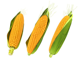 Corn in realistic 3d illustration.