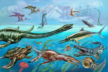 Marine Dinosaurs