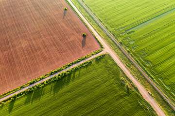 Wall Mural - agricultural fields at the crossroads, aerial view