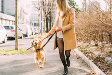 Woman With Dog Walking Along Street