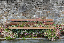 Old Stone Wall And Bench Overgrown With Flowers
