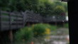 © shufilm - Spider Web on the Park's Pond Bridge