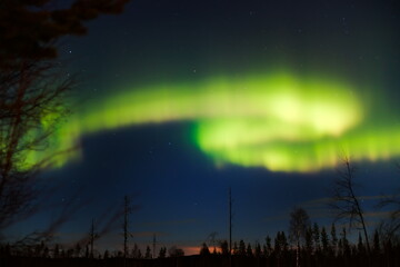 Wall Mural - bright curtain shaped northern lights over lapland