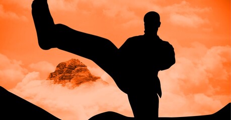 Poster - Composition of silhouette of male martial artist over orange sky with sun setting