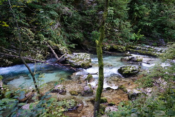 Wall Mural - Slovenian Gorge in the morning, calmness as the water rushes past