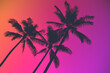 canvas print picture - Palm trees and neon pink and purple skies