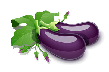 Wall Mural - Eggplant. Vegetable food. Eps10 vector illustration. Isolated