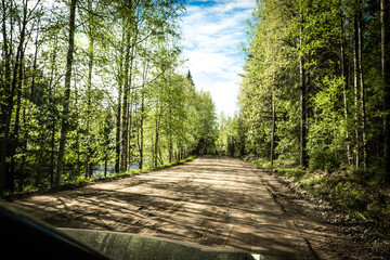 Wall Mural - The road among the Karelian taiga. Pine forest on the side of the road. Trip to Karelia. Highway among the trees. Driving on a trip to beautiful places. Karelia. Day.