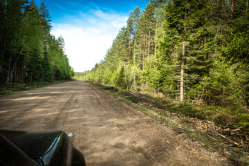 Wall Mural - The road among the Karelian taiga. Pine forest on the side of the road. Trip to Karelia. Highway among the trees. Driving on a trip to beautiful places. Karelia. Day.