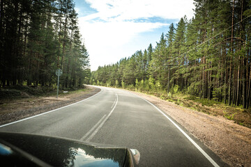 Wall Mural - The road among the Karelian taiga. Pine forest on the side of the road. Trip to Karelia. Highway among the trees. Driving on a trip to beautiful places. Karelia. Day.