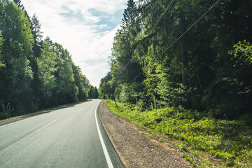 Wall Mural - The road among the Karelian taiga. Pine forest on the side of the road. Trip to Karelia. Highway among the trees. Driving on a trip to beautiful places. Karelia. Day.