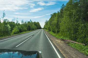Wall Mural - The road among the Karelian taiga. Pine forest on the side of the road. Trip to Karelia. Highway among the trees. Driving on a trip to beautiful places. Karelia. Day.