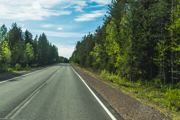 Wall Mural - The road among the Karelian taiga. Pine forest on the side of the road. Trip to Karelia. Highway among the trees. Driving on a trip to beautiful places. Karelia. Day.