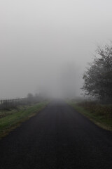 Wall Mural - thick fog on the road in the mountain.