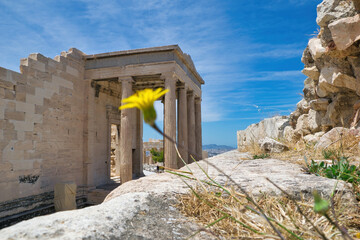 Sticker - Karyatides statues, Erehtheio, on the Acropolis in Athens, Greece