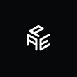 AEP letter logo design. AEP letter in polygon shape. PAE Creative three letter logo. PAE Logo with three letters. APE circle logo. APE letter vector design logo.