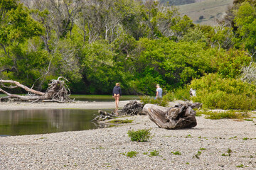 Hiking in the spring to Andrew Molera state beach in Big Sur