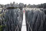Fototapeta Sawanna - Suspension bridge at Tsingy de Bemaraha National Park, Madagascar