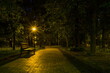 © decorator - The tiled road in the night green park with lanterns in spring. A benches in the park during the spring season at night. Illumination of a park road with lanterns at night. Mariinsky Park. Ukraine