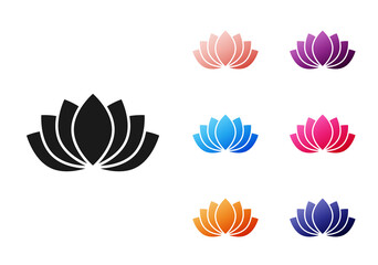 Canvas Print - Black Lotus flower icon isolated on white background. Set icons colorful. Vector