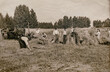 Leinwandbild Motiv Germany - CIRCA 1920s: Edwardian era farmers working on grain harvest using the mechanical reaper or reaping machine. Shocks of grain in a field. Archive vintage black and white photography