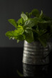 Bunch of fresh mint in iron cup.