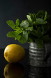 Fresh mint in iron cup and lemon