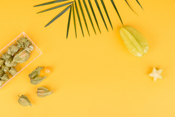 Fruit carambol, beach accessories and foliage of a tropical plant on colored paper