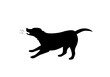 barking dog silhouette in black color vector graphic