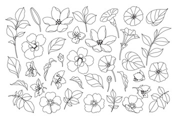 Wall Mural - different flowers, buds and leaves set
