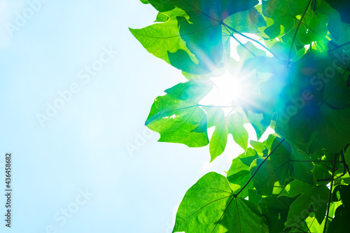 Renewable energy sun light for green society
