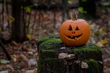 Wall Mural - Close-up view of Jack O' Lantern face in the forest. Smiling face carved on orange pumpkin. Side view. Selective focus. Copy space for your text. Halloween theme.