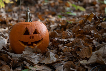 Wall Mural - Close-up view of Jack O' Lantern face in the forest. Smiling face carved on orange pumpkin. Side view. Selective focus. Copy space for your text. Halloween theme.