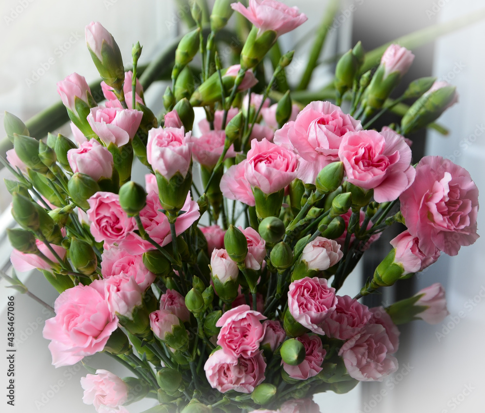bouquet of pink roses - obrazy, fototapety, plakaty 