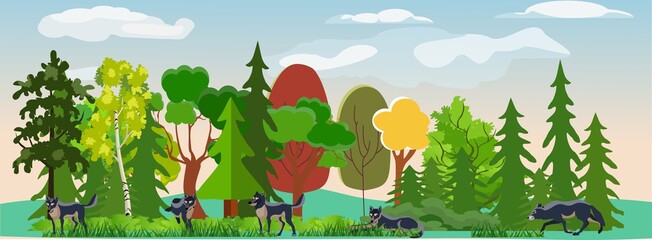 Wall Mural - Wolf pack in the forest.  Wildlife natural Landscape,  trees and plants. Cartoon vector illustration 